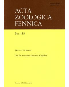 On the Muscular Anatomy of Spiders