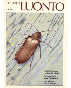 Suomen Luonto 1988:6