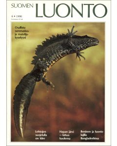 Suomen Luonto 1990:6