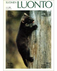 Suomen Luonto 1991:4