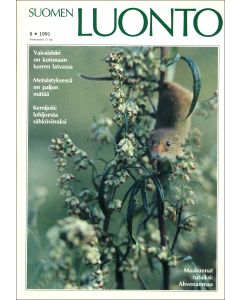 Suomen Luonto 1991:8