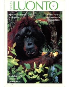 Suomen Luonto 1993:11