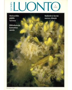 Suomen Luonto 1995:8