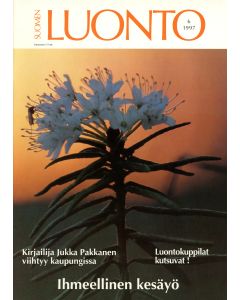 Suomen Luonto 1997:6