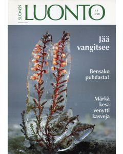Suomen Luonto 1998:11