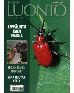 Suomen Luonto 2003:6