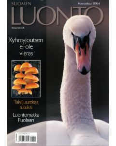 Suomen Luonto 2004:11