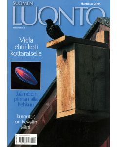 Suomen Luonto 2005:4