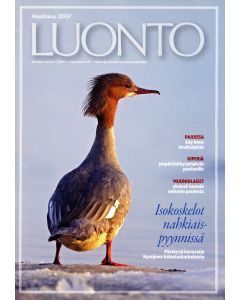 Suomen Luonto 2007:3