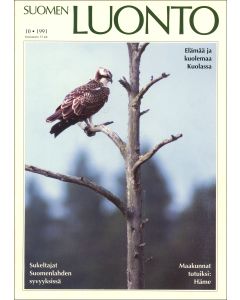 Suomen Luonto 1991:10