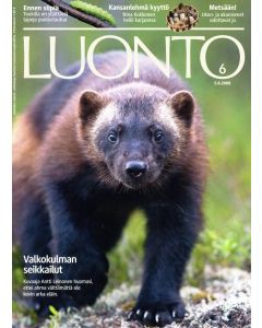 Suomen Luonto 2008:6