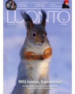 Suomen Luonto 2010:9