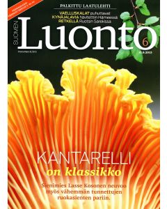 Suomen Luonto 2013:6