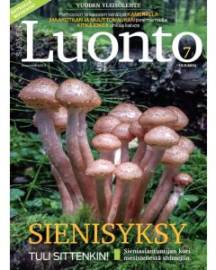 Suomen Luonto 2014:7