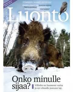 Suomen Luonto 2015:3