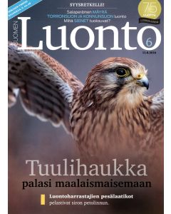 Suomen Luonto 2016:6