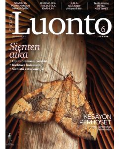 Suomen Luonto 2019:6
