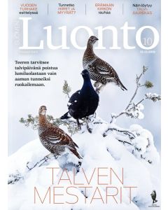 Suomen Luonto 2019:10