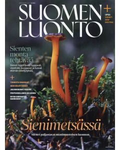 Suomen Luonto 2022:6