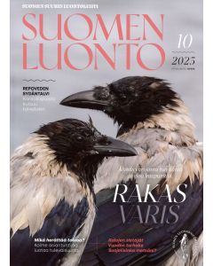 Suomen Luonto 2025:10